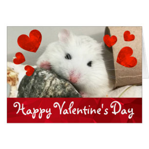 HammyVille - Joli Robo Hamster Valentine
