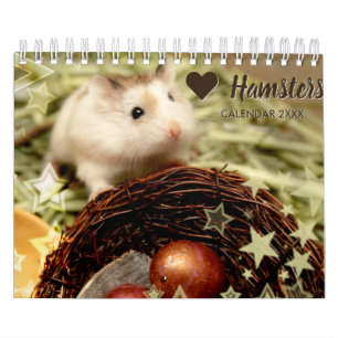 Hammyville - Light Stars Calendar