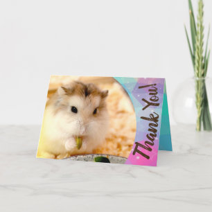 Hammyville - Merci de Hamster mignon