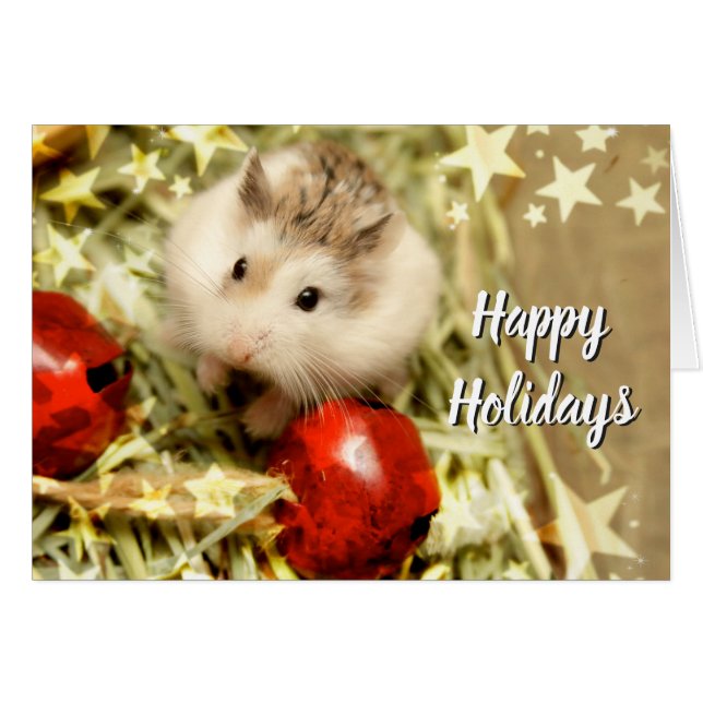 Hammyville - Vacances cloches rouges (Devant horizontal)