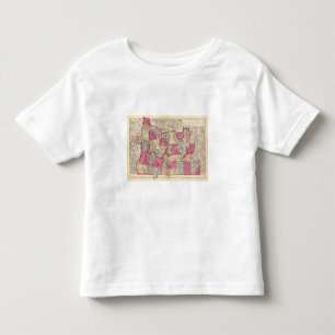 Hampshire & Hampden counties Toddler T-shirt