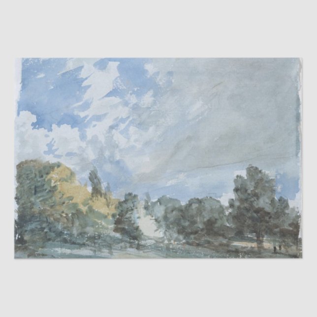 Hampstead Heath (London Park) Tissue Paper (Front)