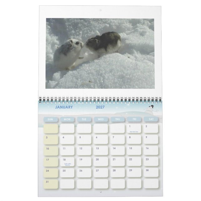 hamster1, HAMSTERS, 2008 calender Calendar (Jan 2027)