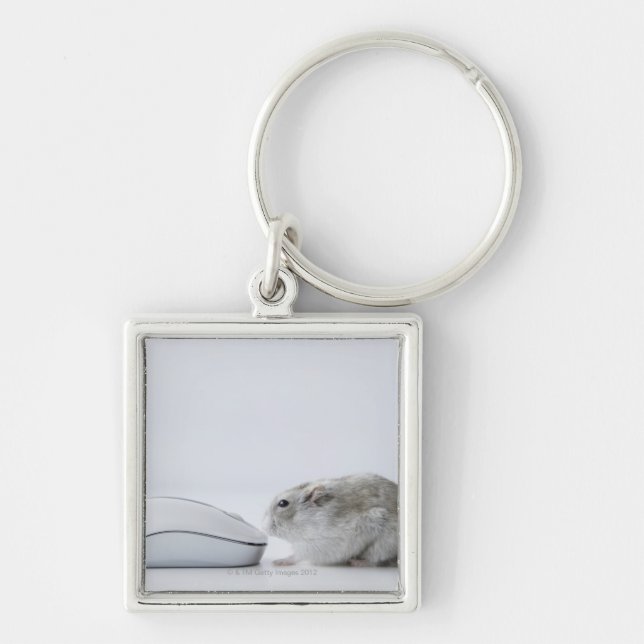 Hamster and Computer mouse Keychain (Front)