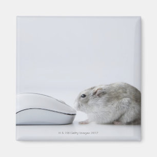 Hamster and Computer mouse Magnet