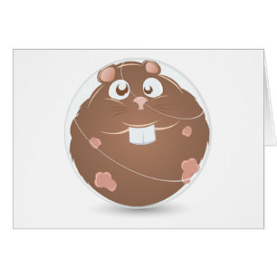 hamster ball