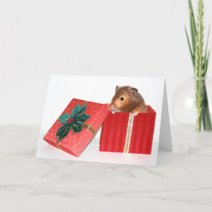 Hamster Christmas gift Holiday Card