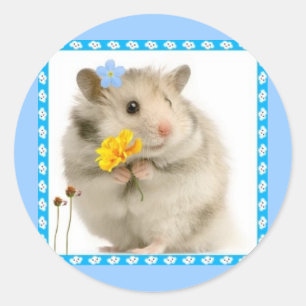 hamster classic round sticker
