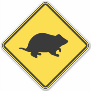Hamster Crossing