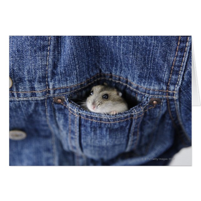 Hamster dans la poche (Devant horizontal)