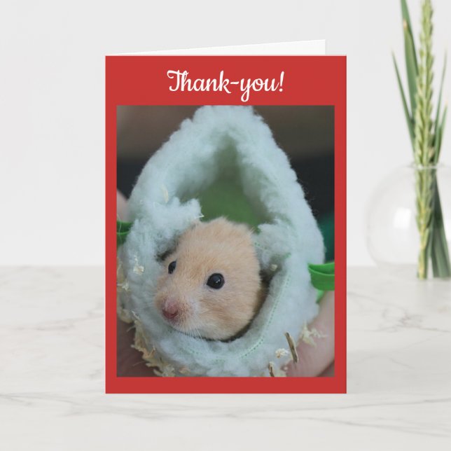 Hamster de vacances de merci (Devant)