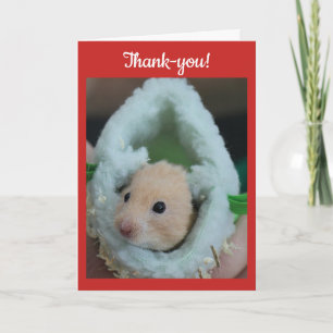 Hamster de vacances de merci