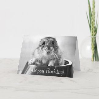 Hamster greeting card, happy birthday card