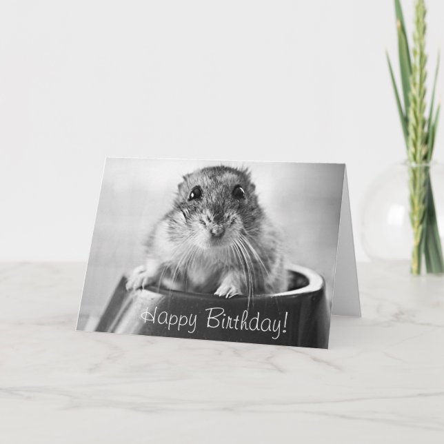 Hamster greeting card, happy birthday card (Front)