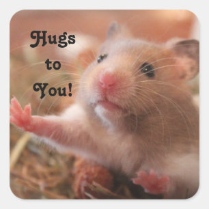 Hamster Hugs Square Sticker