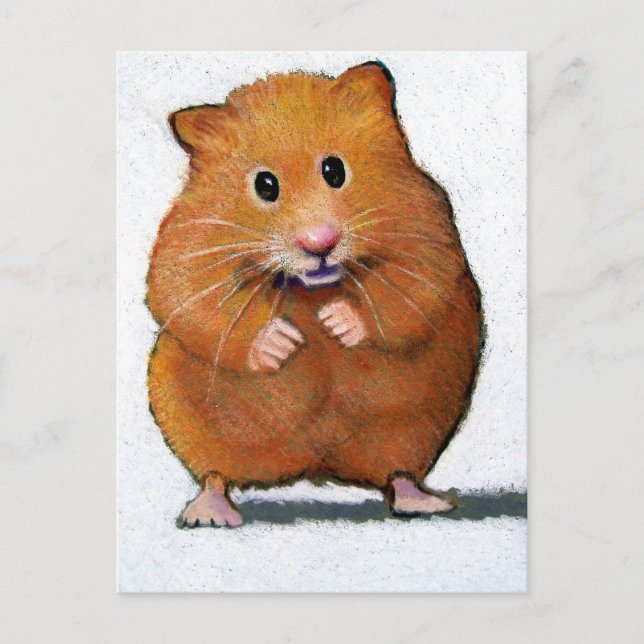 HAMSTER IN COLOR PENCIL POSTCARD (Front)