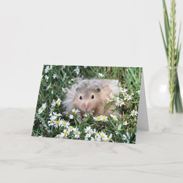 Hamster in flowers card (Front)