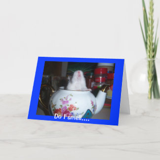 Hamster In Teapot Card