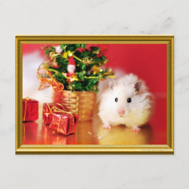 Hamster Kokolinka with Christmas tree Holiday Postcard (Front)