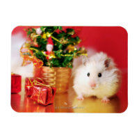 Hamster Kokolinka with Christmas tree