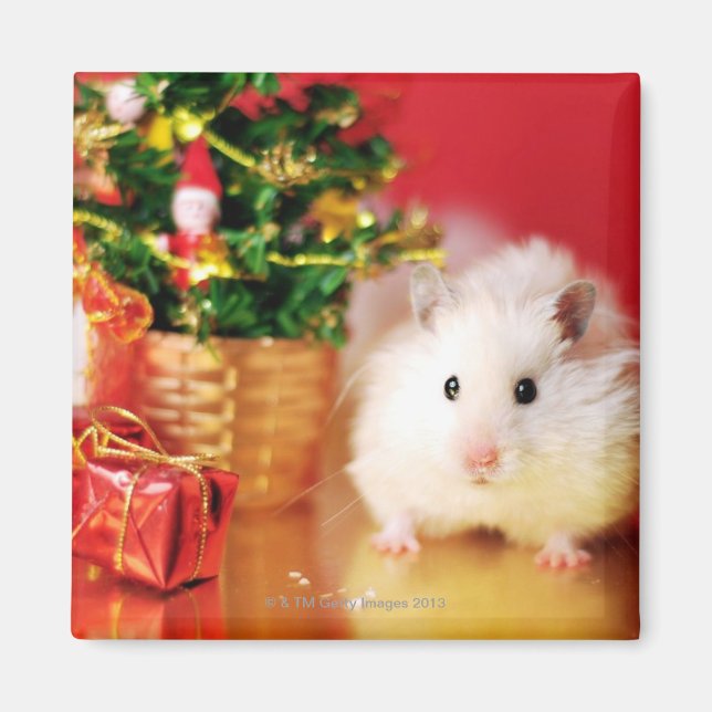Hamster Kokolinka with Christmas tree Magnet (Front)