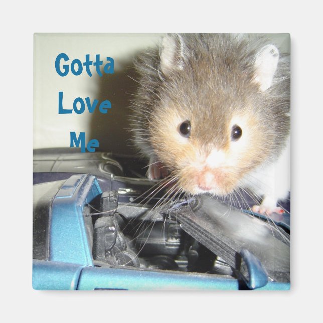 Hamster Love Magnet (Front)