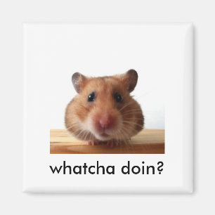 Hamster Magnet