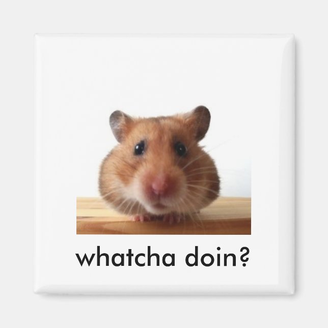 Hamster Magnet (Front)