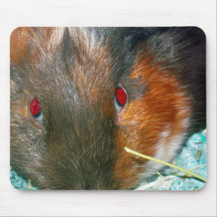 Hamster Mouse Pad