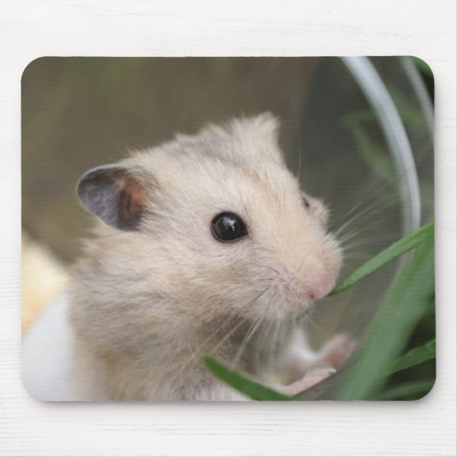 hamster mousepad (Front)