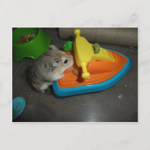 Hamster on a Jet-ski Postcard