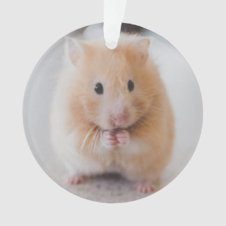 hamster ornament