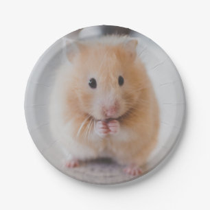 hamster paper plate