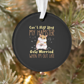 Hamster Pet Hamster Owners Ornament