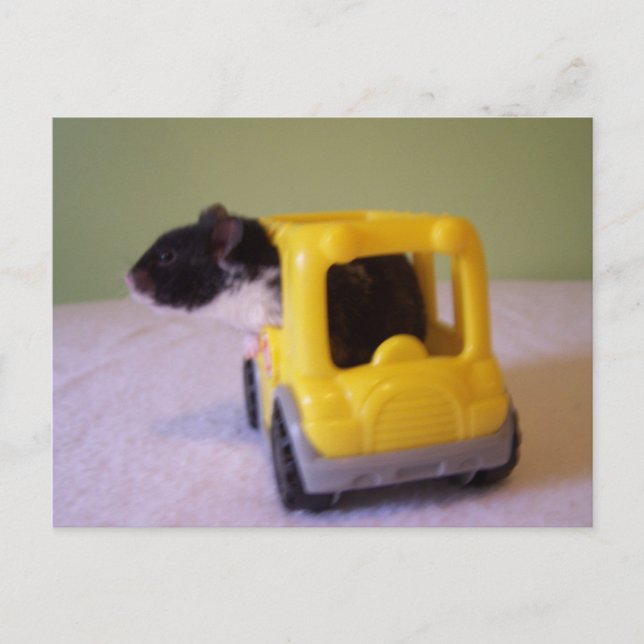 Hamster postcard (Front)