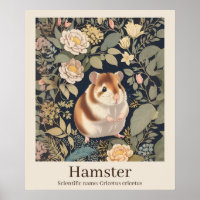 Hamster Scientific Name Animal