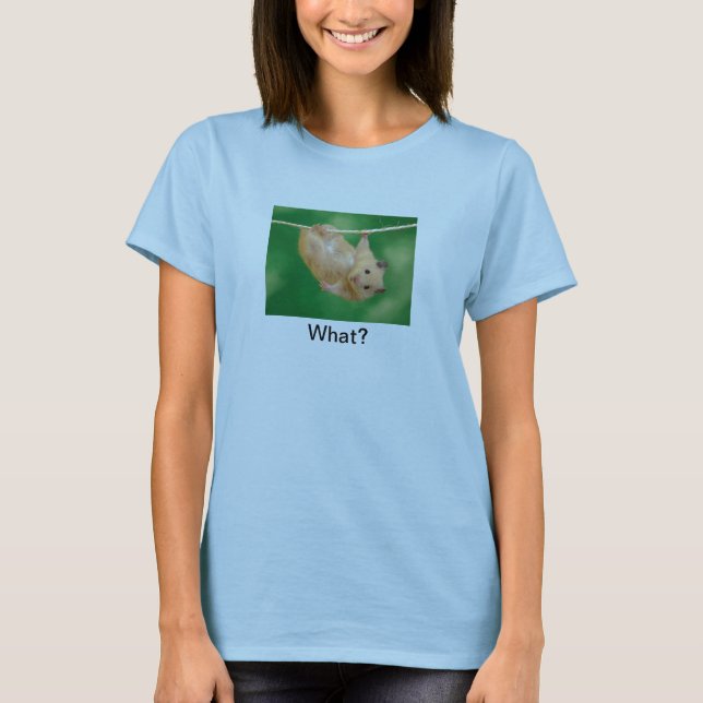Hamster Shirt (Front)