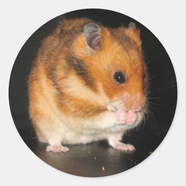 Hamster stickers (Front)