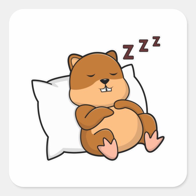 Hamster with Pillow Square Sticker (Front)