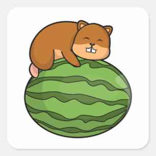 Hamster with Watermelon Square Sticker