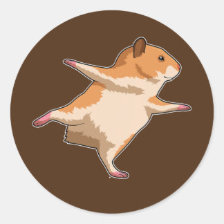 Hamster Yoga Meditation Fitness  Classic Round Sticker
