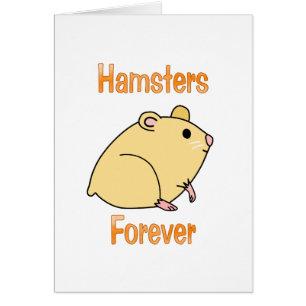Hamsters pour toujours