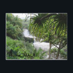 Hana 003, Hana, MAUI, Hana MAUI Postcard<br><div class="desc">Taken from the Seven Sacred Pools</div>