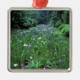 Hana Shobu (Japanese Water Iris), Meiji Shrine, Metal Ornament