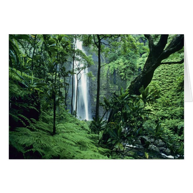 Hanakapiai Chutes le long de la côte Na Pali, Kaua (Devant horizontal)