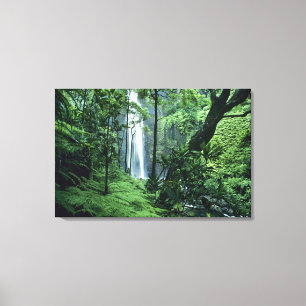 Hanakapiai Falls along the Na Pali Coast, Kauai, Canvas Print