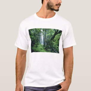 Hanakapiai Falls along the Na Pali Coast, Kauai, T-Shirt