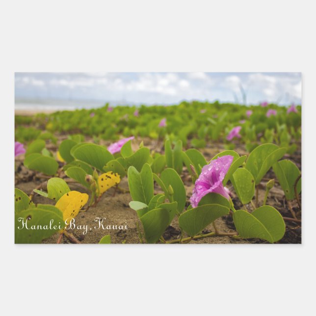 Hanalei Bay, Kauai Flower | Custom Image Sticker (Front)