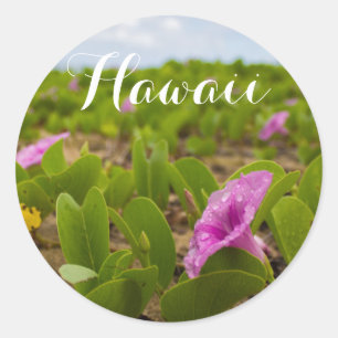 Hanalei Bay, Kauai Morning Glory Purple Flower Classic Round Sticker