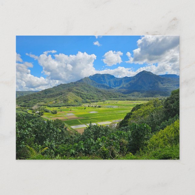 Hanalei Valley Lookout Postcard (Front)